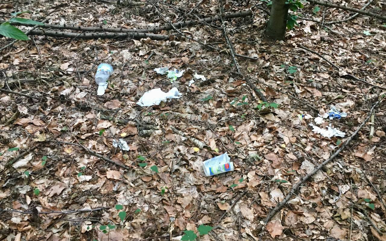 Müll im Köllnischen Wald