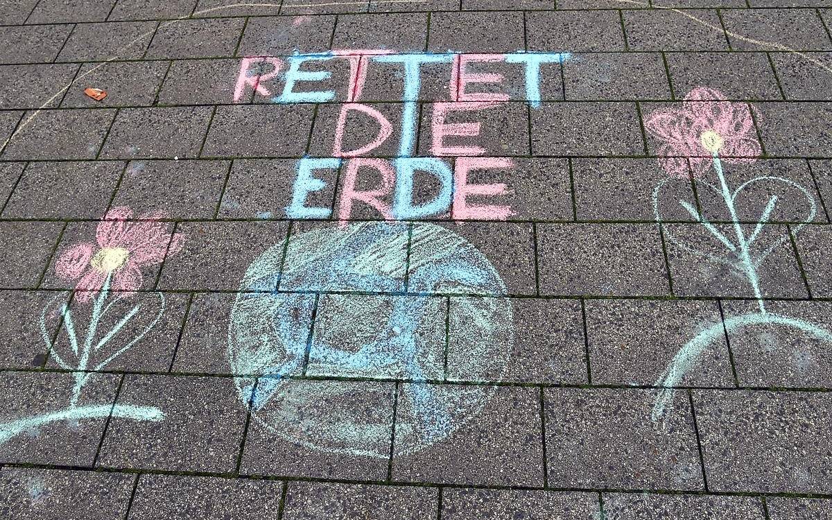 Fridays for Future-Demo