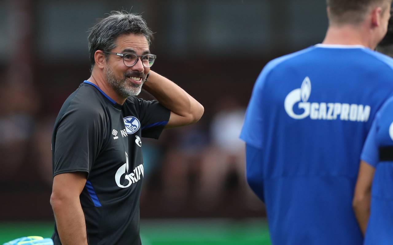 Schalke-Trainer David Wagner