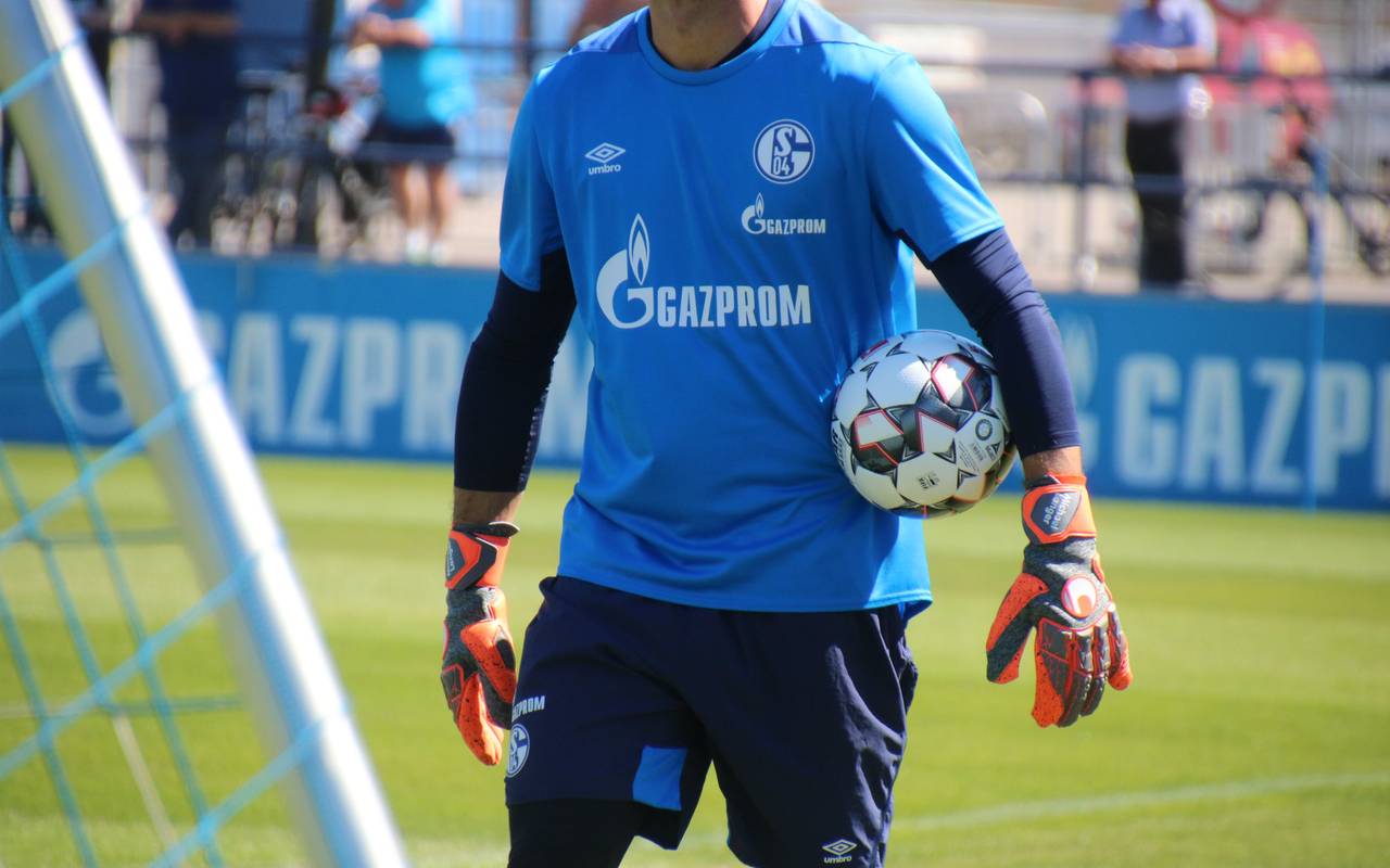 Schalke Training