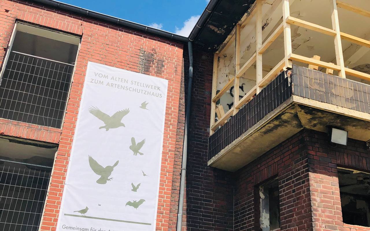 Artenschutzhaus in GE-Hassel