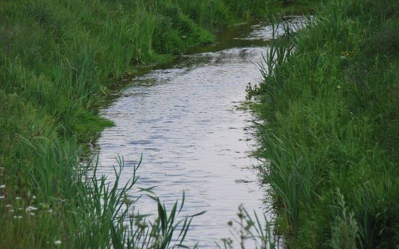 Emscher Fluss Bach Köttelbecke