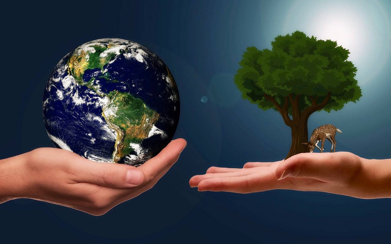 Klimaschutz
