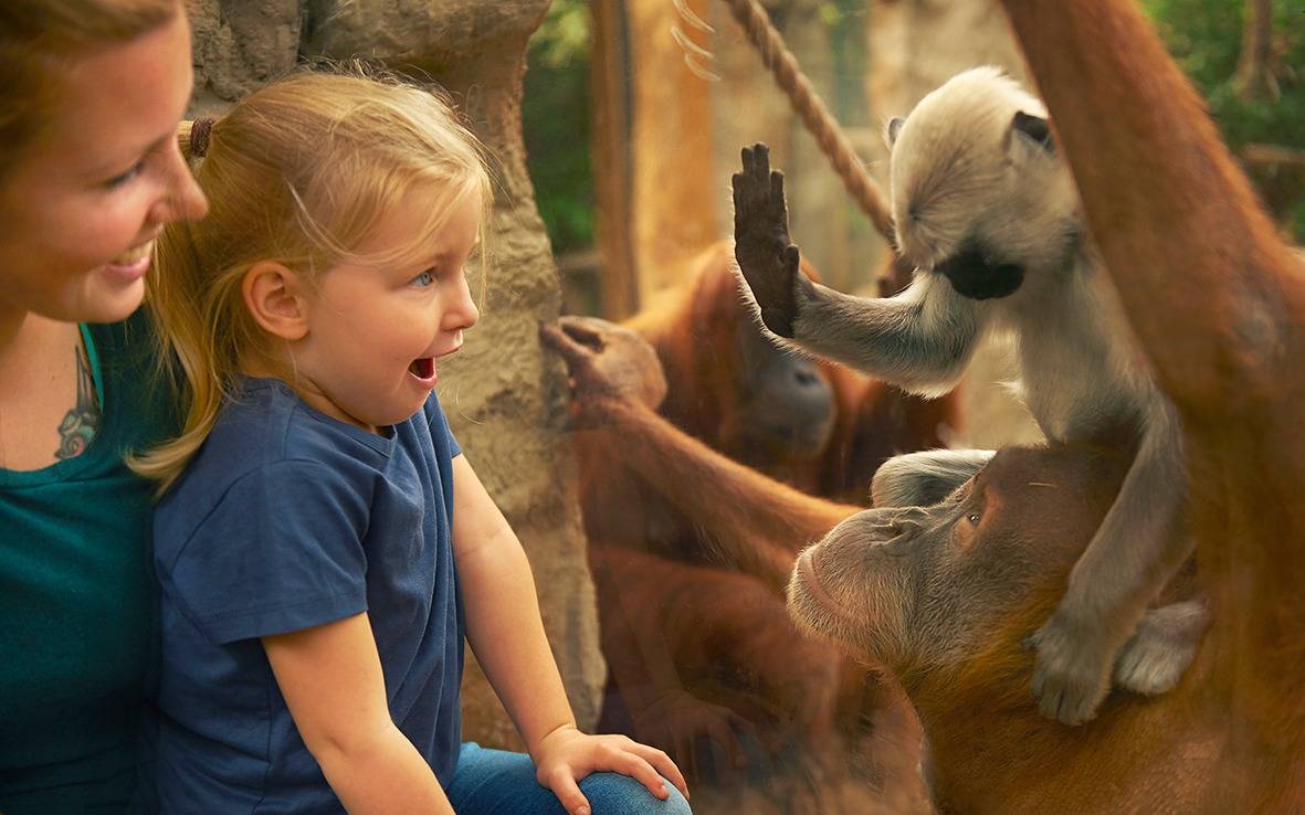 Zoom Erlebniswelt