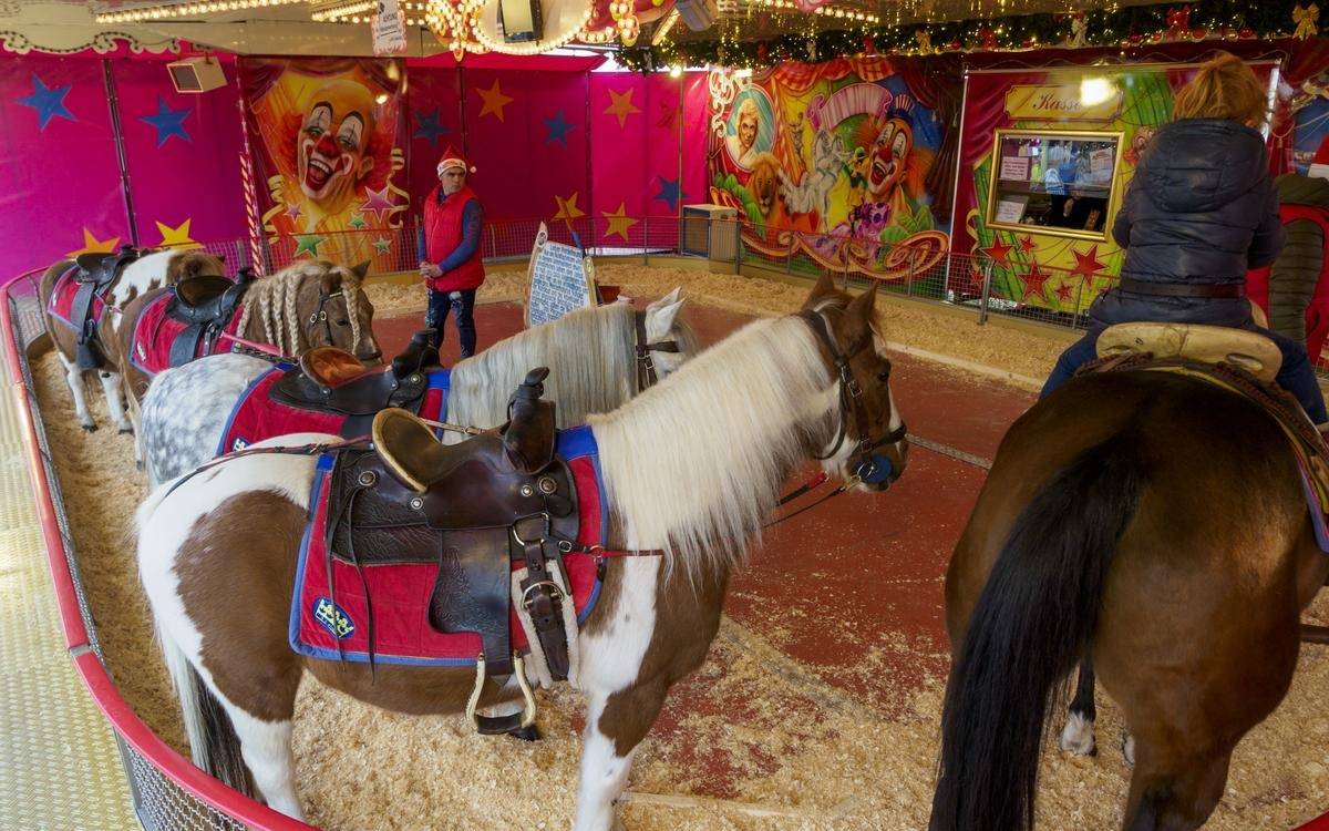 Ein Bild vom Ponyreiten beim Cranger Weihnachtszauber.