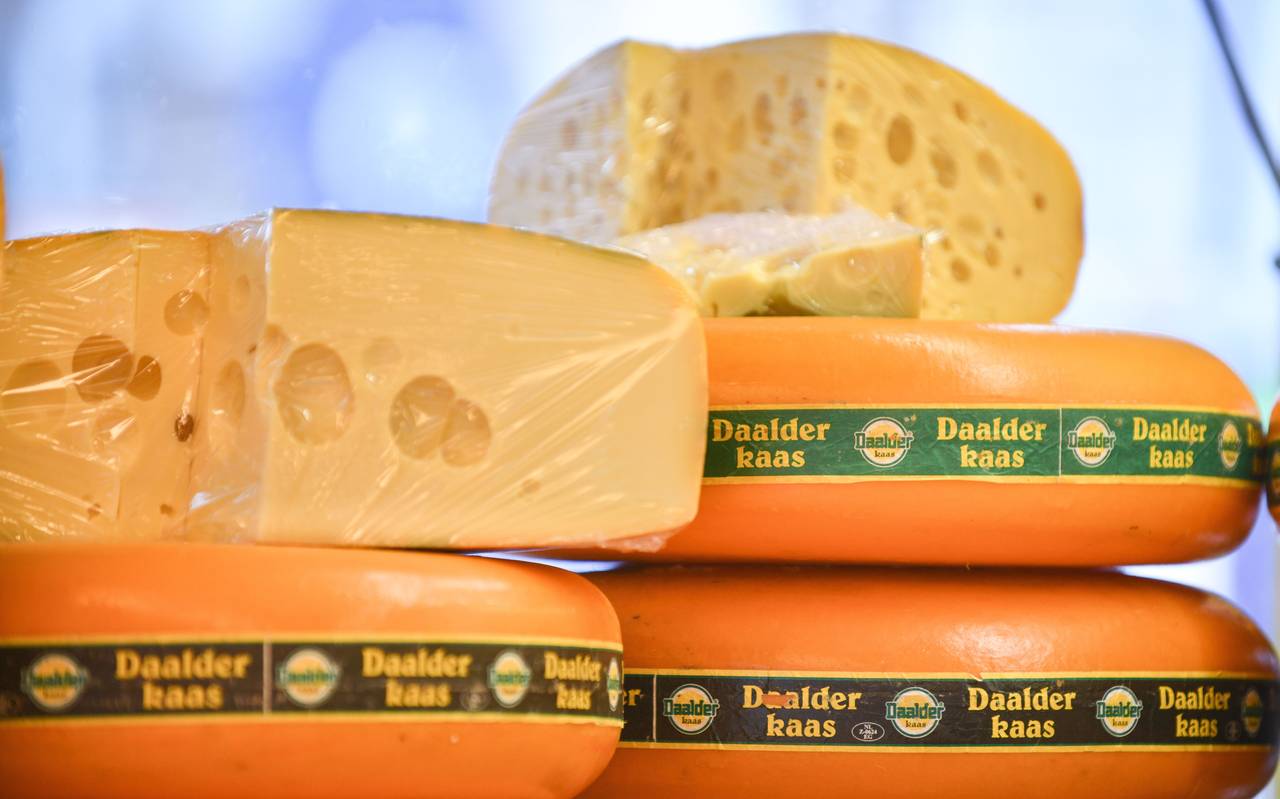 Käse Lebensmittel