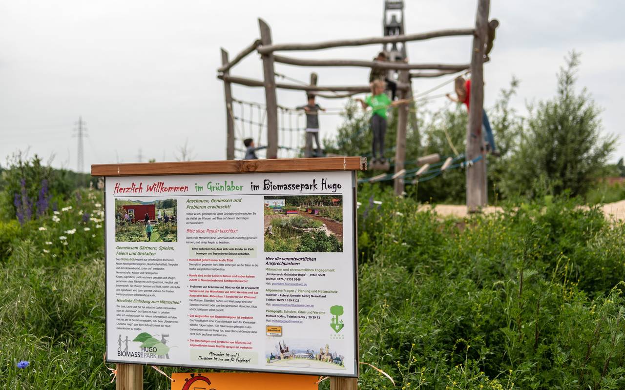 Ein Schild erklärt den Biomassepark auf dem ehemaligen Zechengelände Hugo in Buer. Im Hintergrund ein Klettergerüst