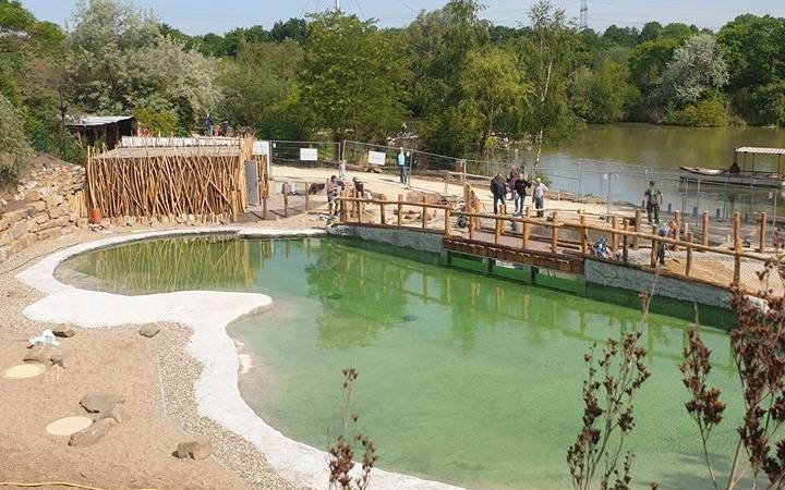 Die Baustelle der Pinguinanlage in der Zoom Erlebniswelt