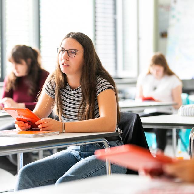 Schüler mit Laptop