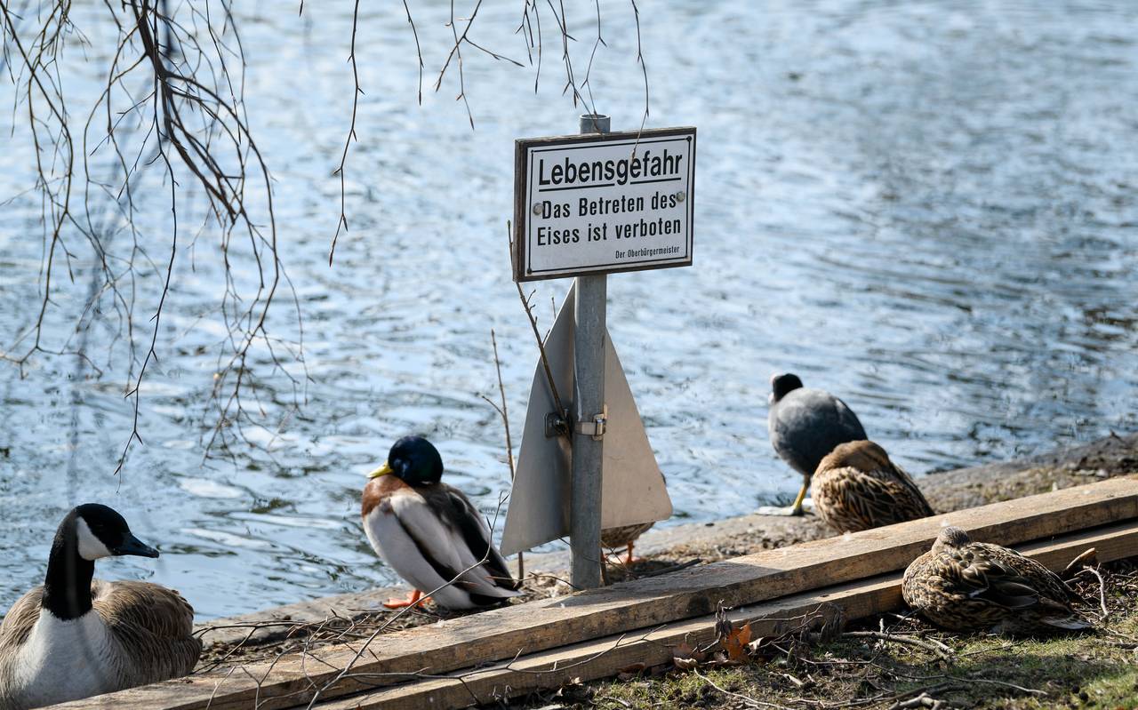 Ein Bild von einem Verbotsschild.