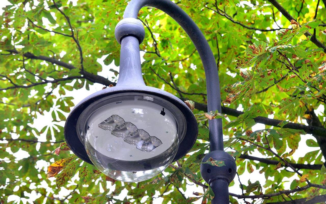 Eine Straßenlaterne mit LED-Leuchtmittel