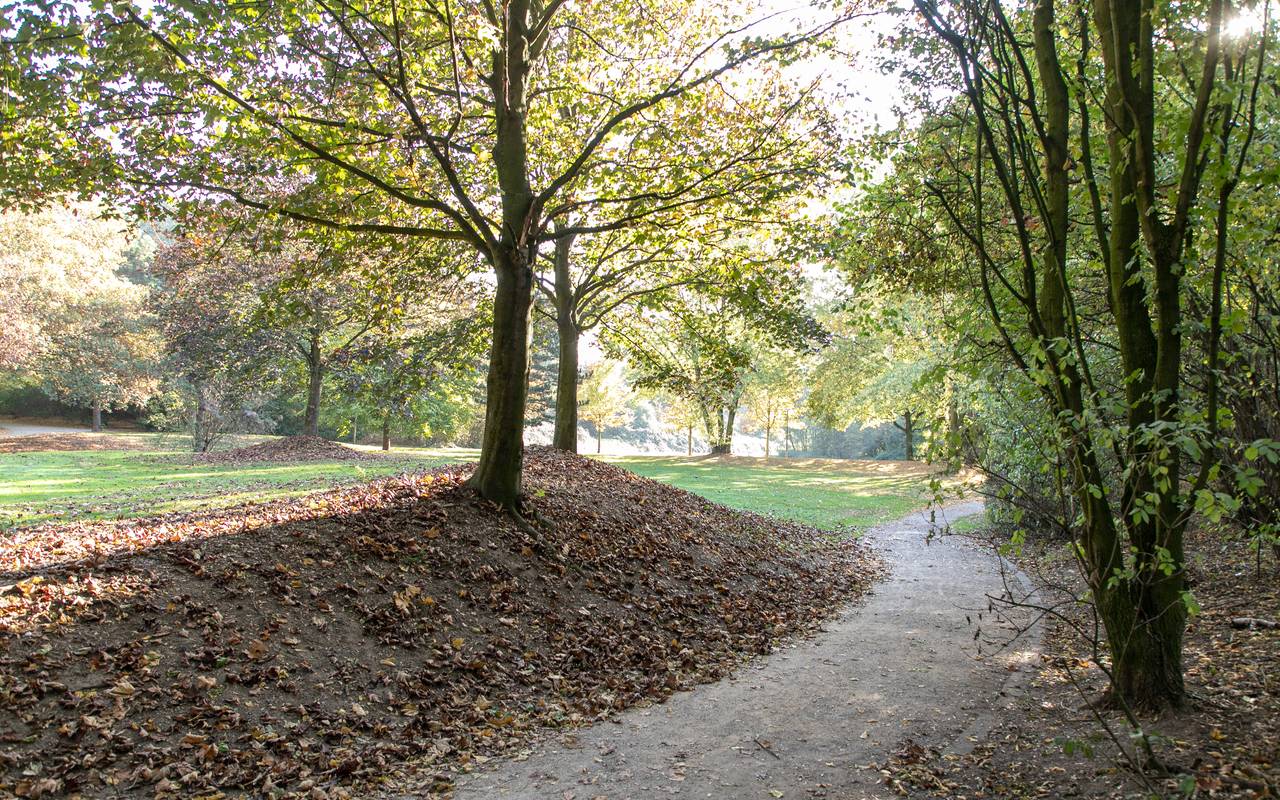 Der Park in Bottrop-Welheim