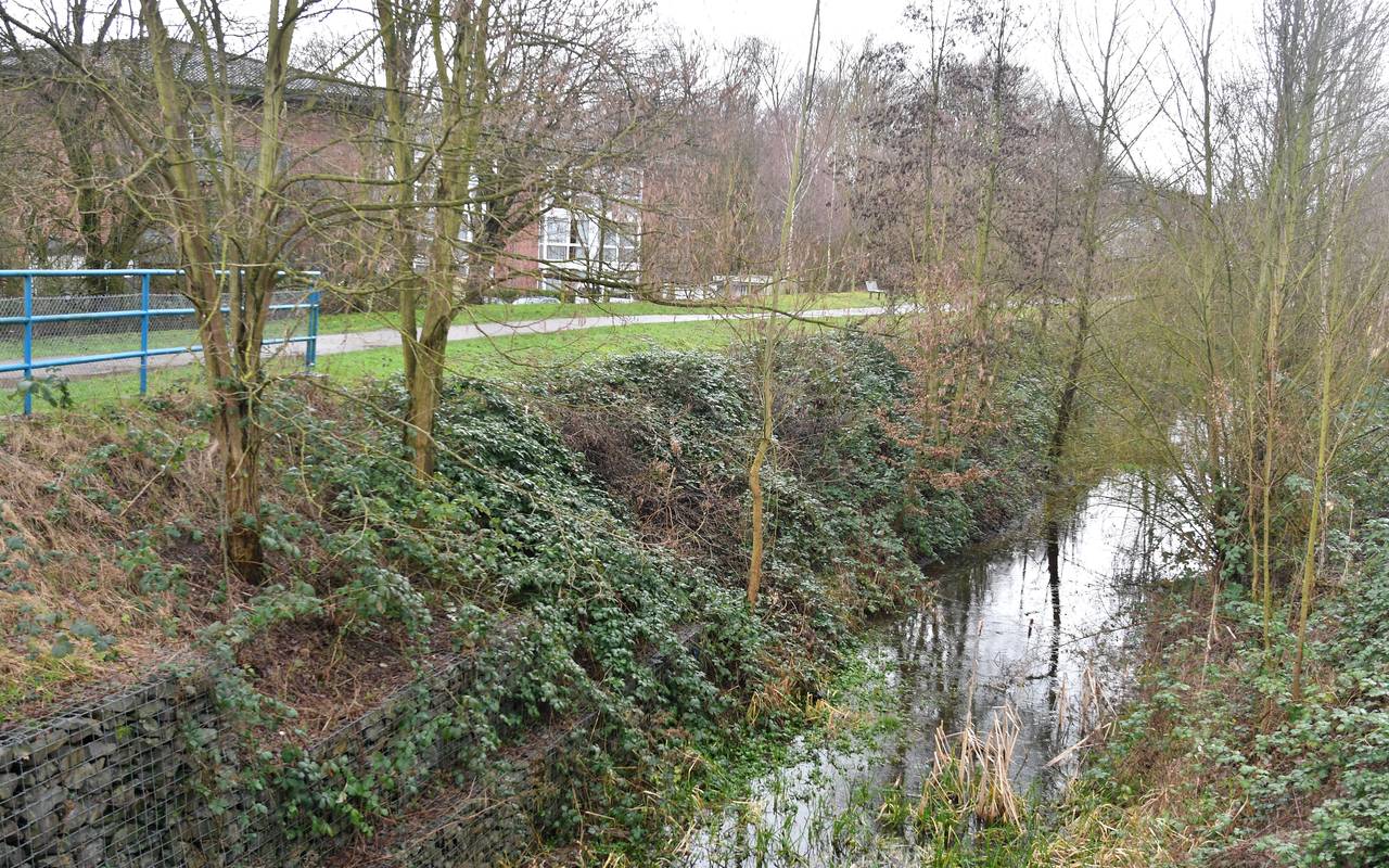 Der Uferweg am Kirchschemmsbach in Bottrop-Eigen