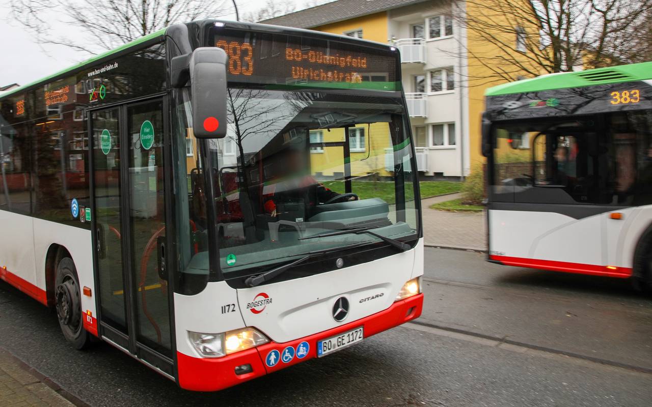 Bus 383er Bogestra