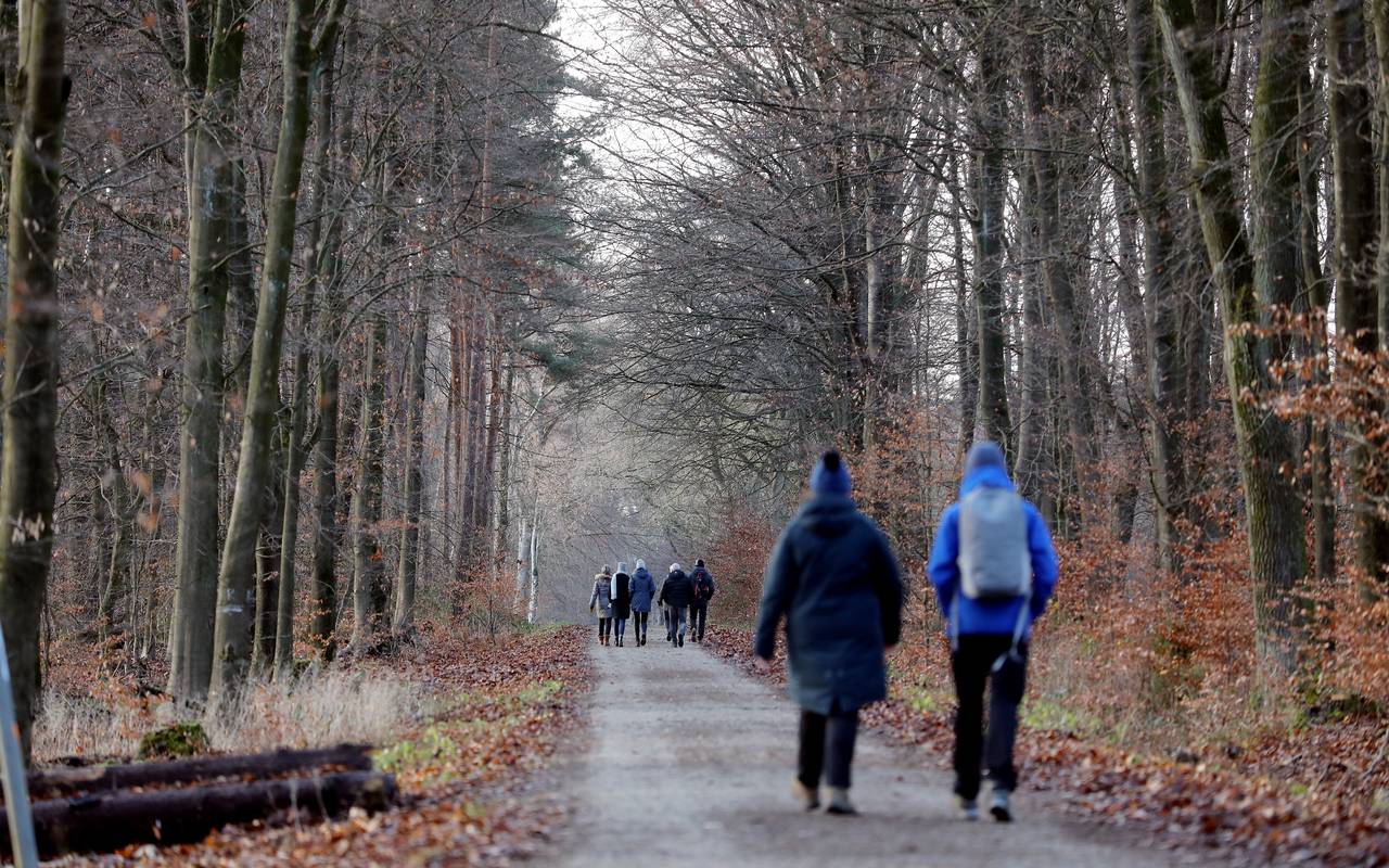 Spaziergänger im Wald