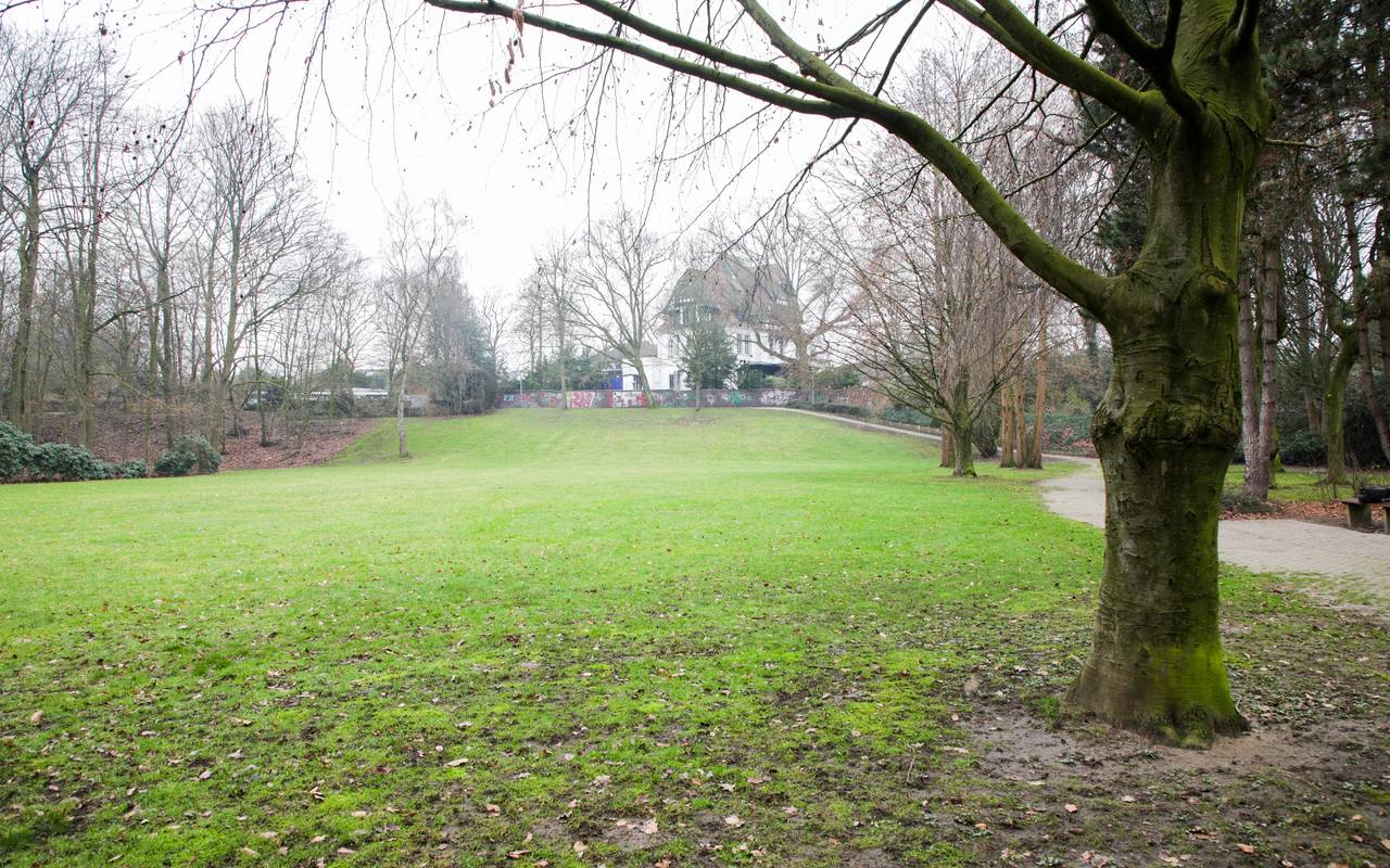 Der Park hinter der Villa Dickmann