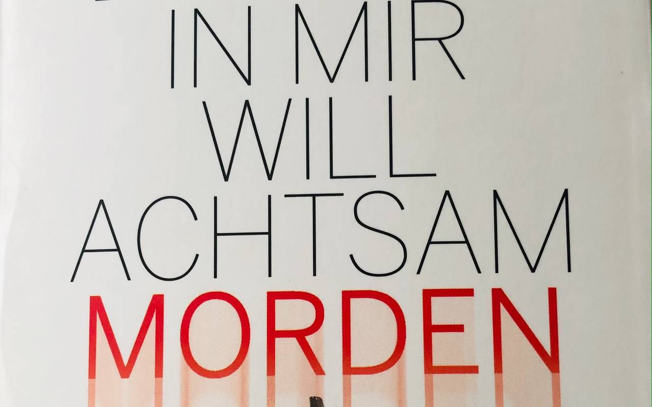 Das Kind in mir will achtsam morden - Karsten Dusse