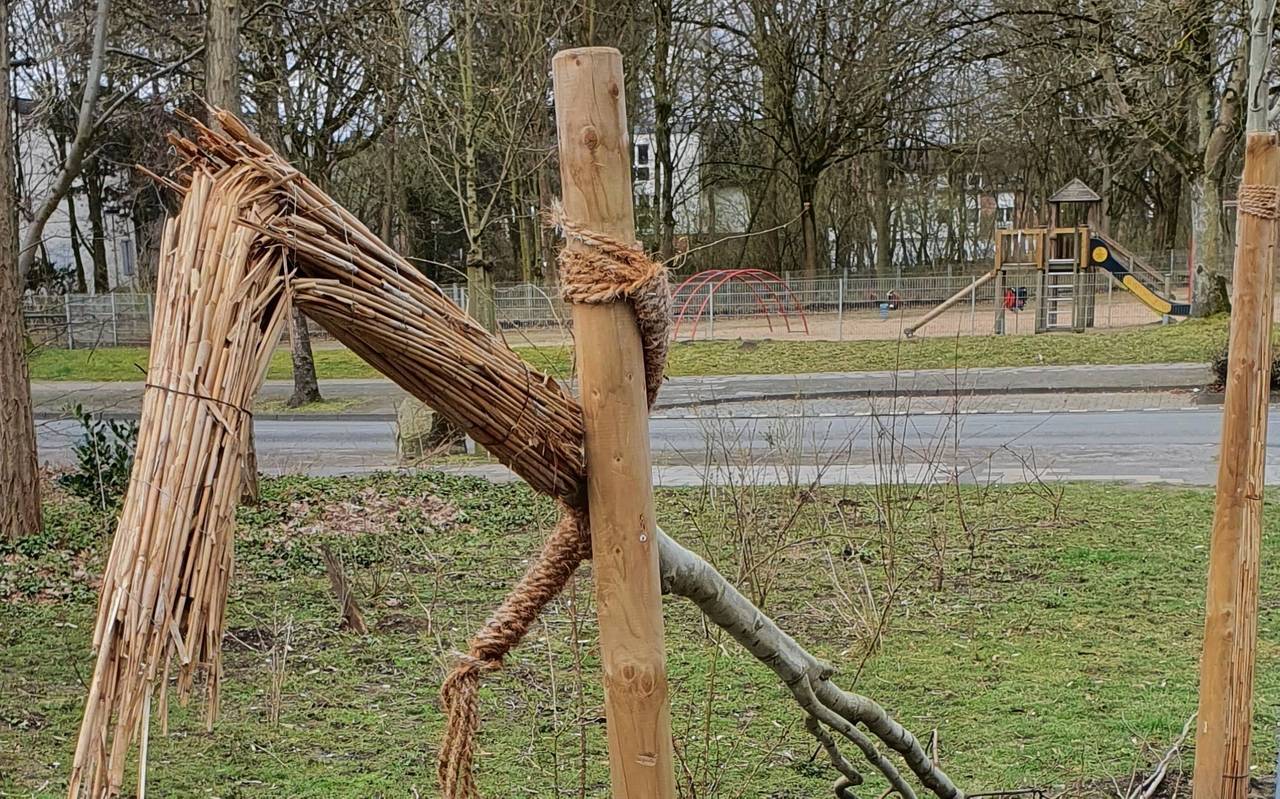 Vier junge Bäume in Bottrop mutwillig zerstört