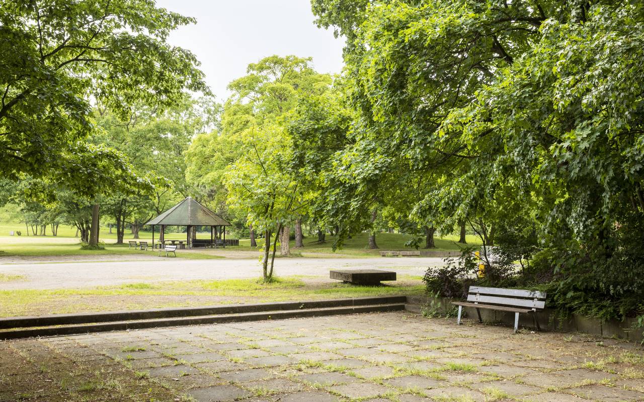 Aufenthaltsfläche im Revierpark Nienhausen in Gelsenkirchen
