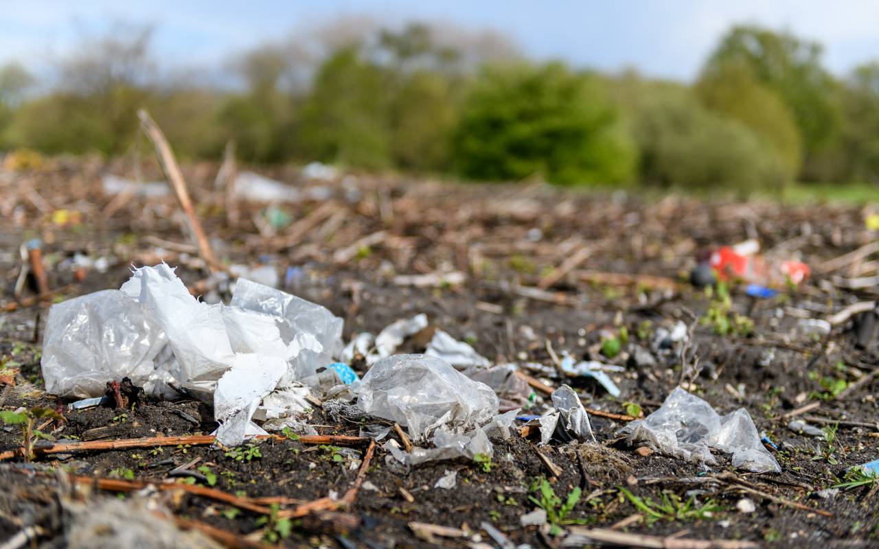 Plastikmüll liegt am Straßenrand