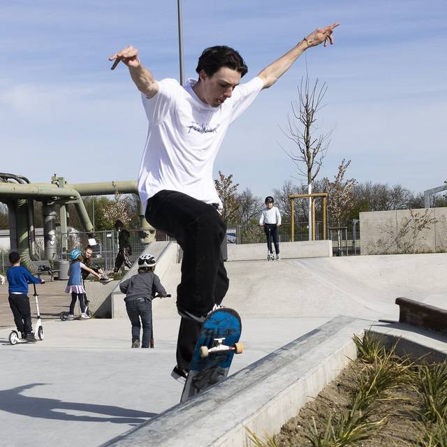 Skatepark Gelsenkirchen-Hassel
