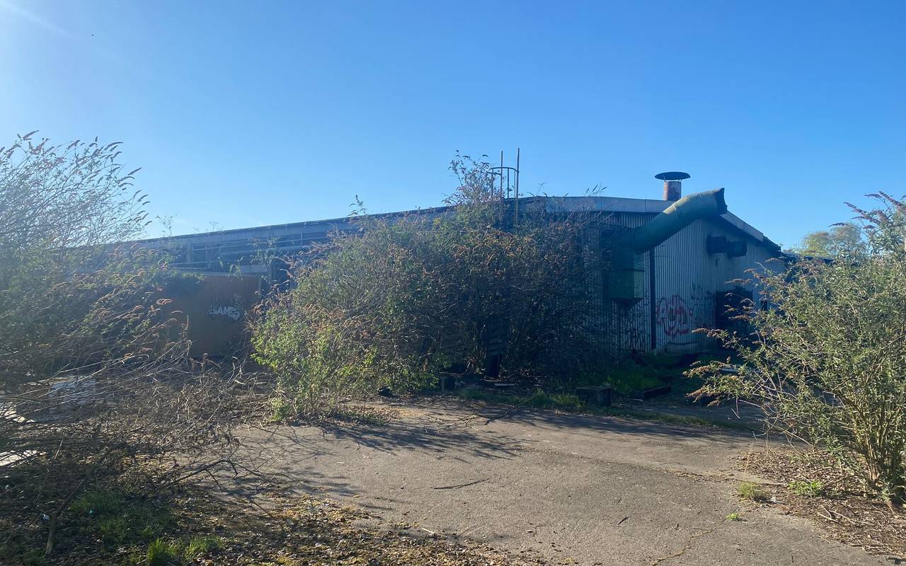 Ein leerstehendes Firmengebäude in Gelsenkirchen Bulmke-Hüllen