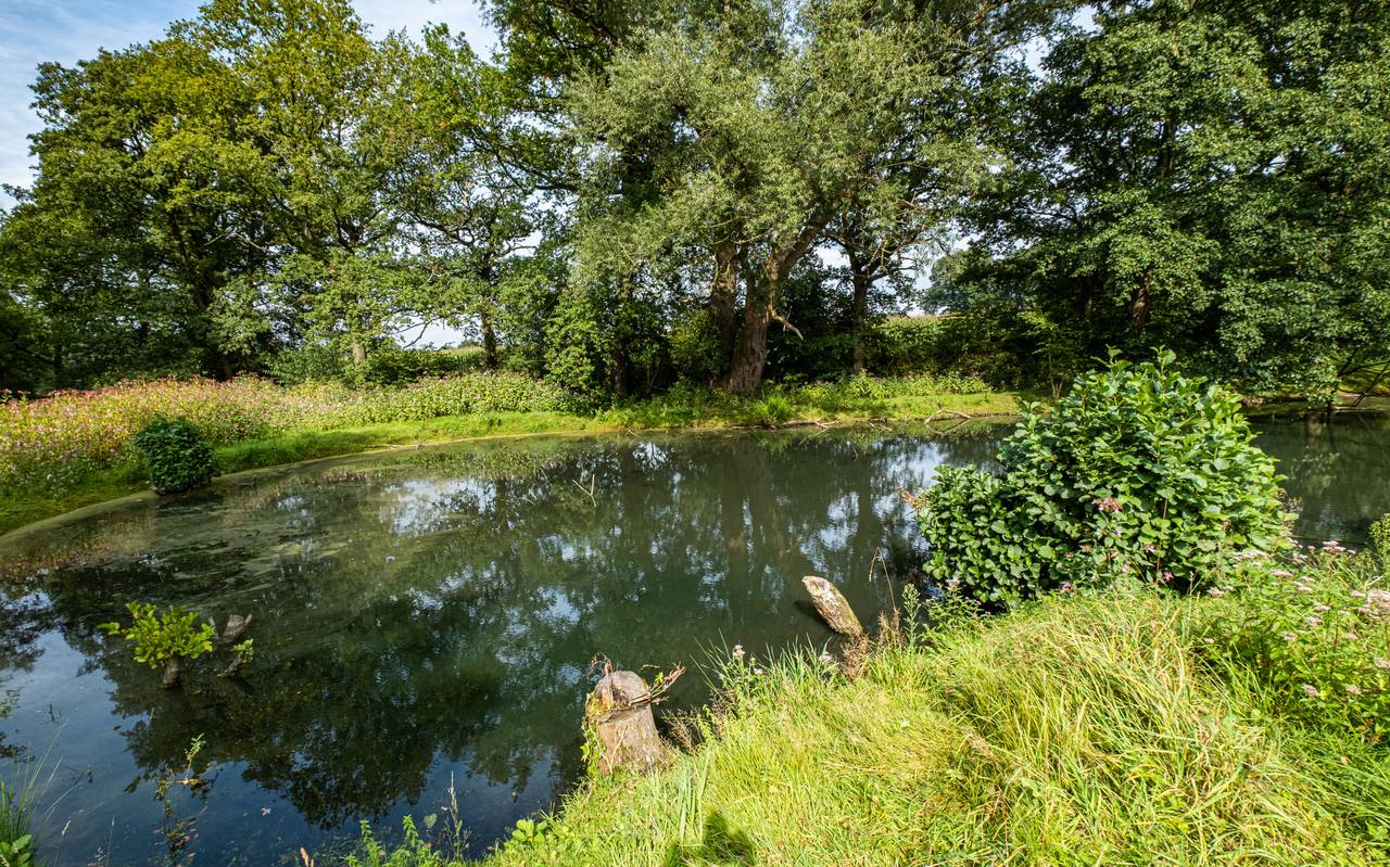 Regenrückhaltebecken Am Frochtwinkel in Gladbeck