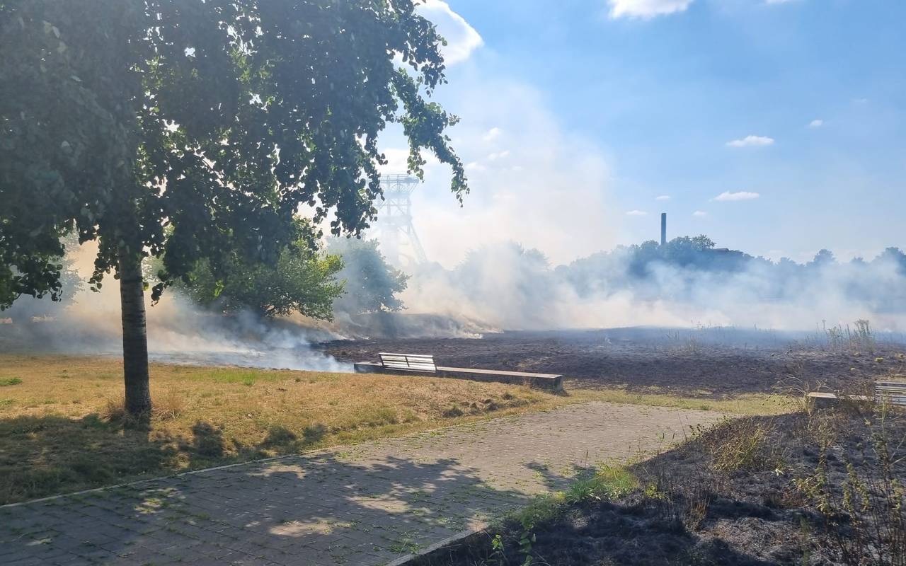 Brennende Grasfläche in Gelsenkirchen-Bismarck