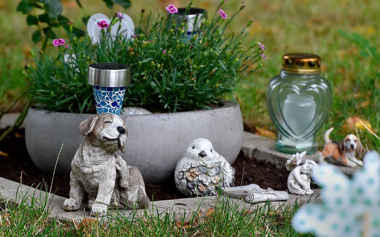 Grab auf dem Tierfriedhof in Herne
