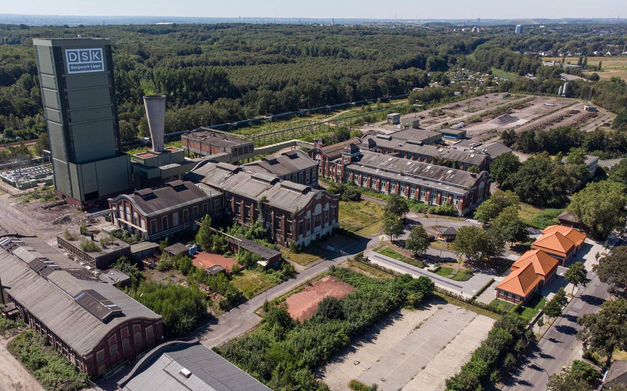 Luftbild Neue Zeche Westerholt