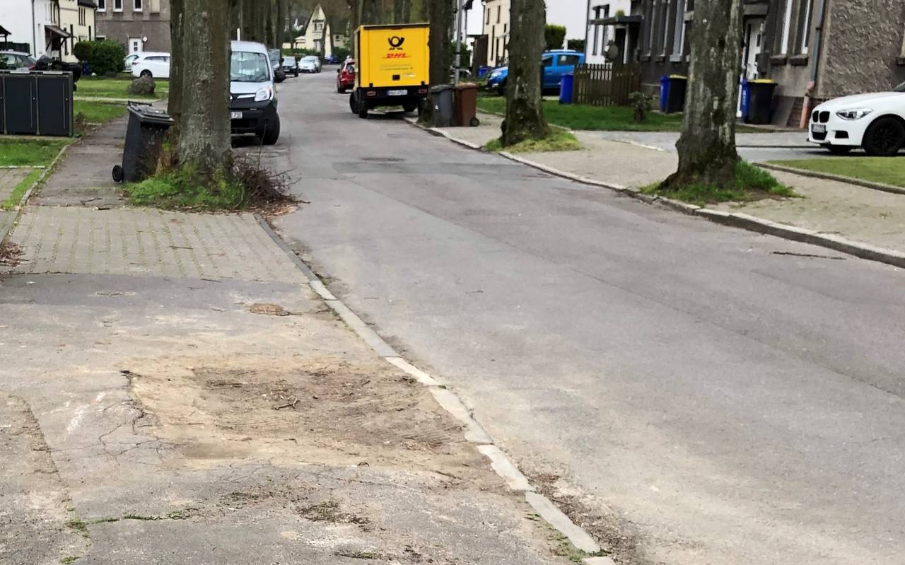 Baumdiebstahl an der Krugstraße in Gladbeck