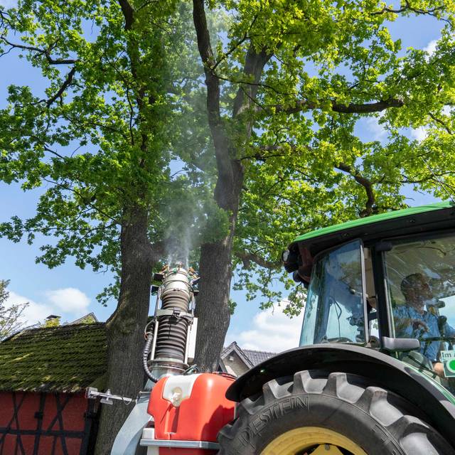 Kampf gegen Eichenprozessionsspinner