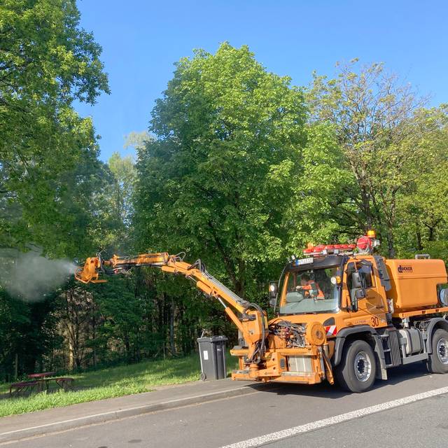 Kampf gegen Eichenprozessionsspinner