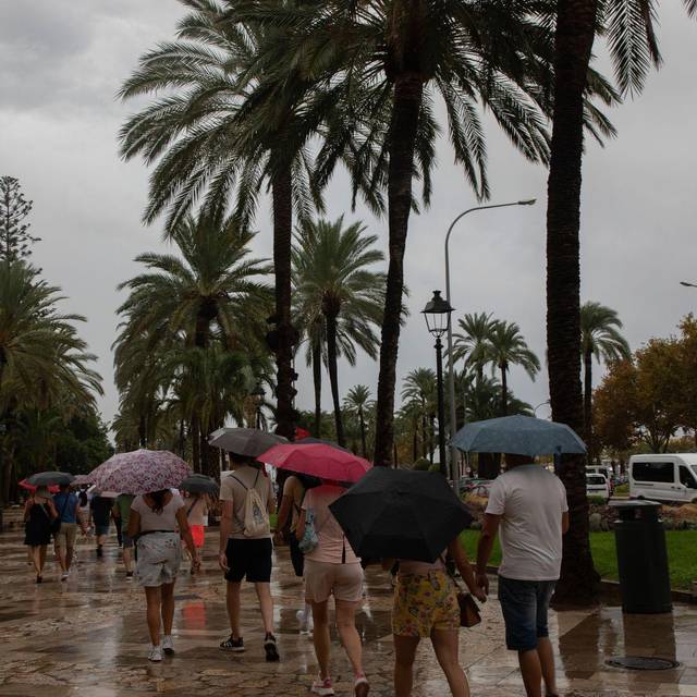 Wetter auf Mallorca