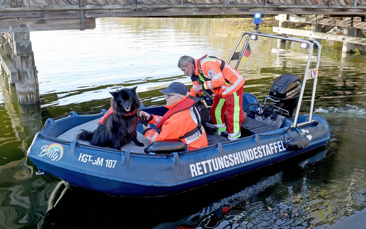 Suche nach vermisstem Achtjährigen mit Suchhund