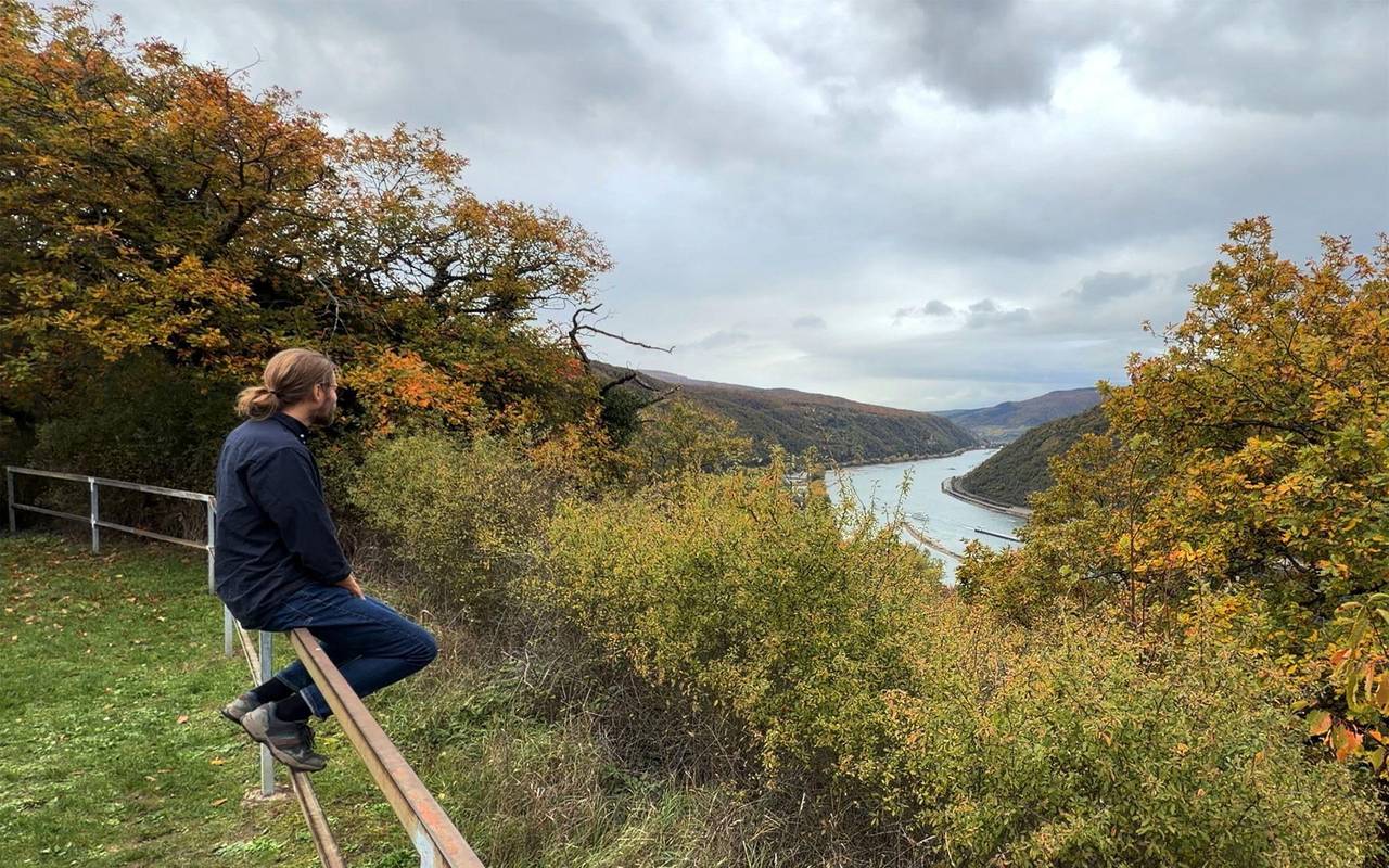 Nutzungsstatistik 2024 - Männergewaltschutz-Einrichtungen