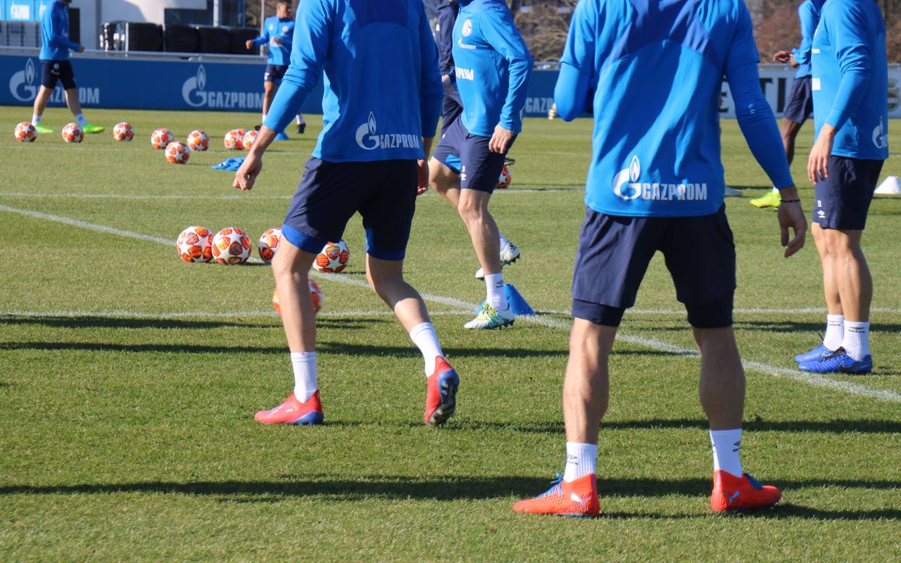 Schalke Training