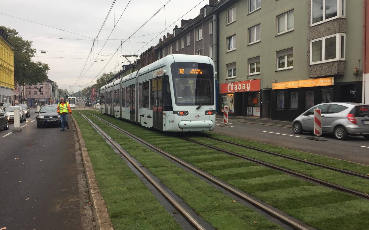 Bild einer Straßenbahn