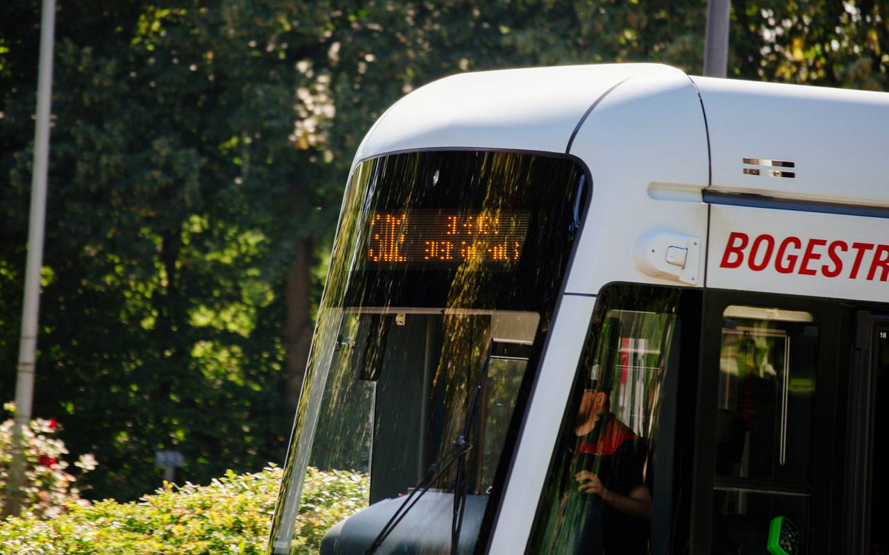 Bild einer Straßenbahn