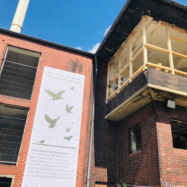 Artenschutzhaus in GE-Hassel