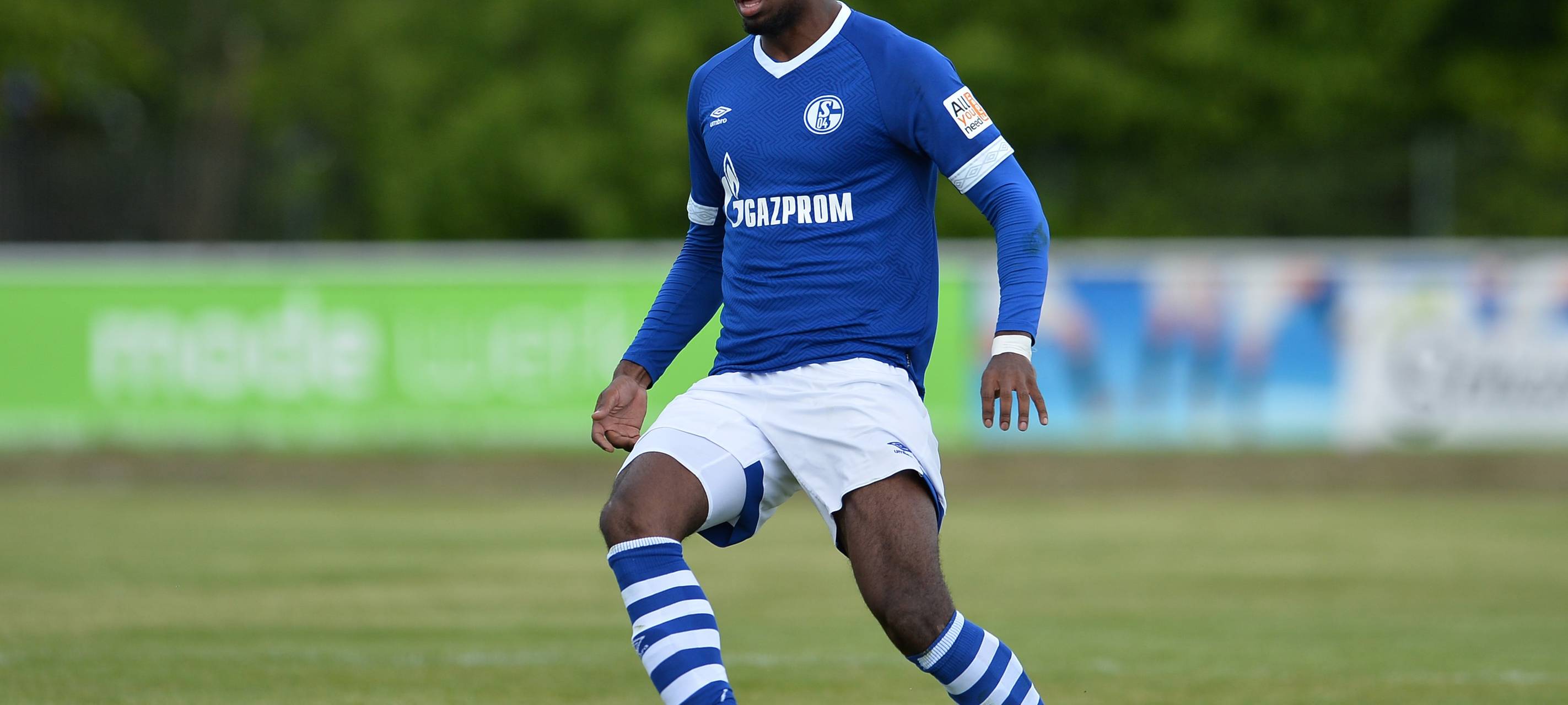 Haji Wright Schalke