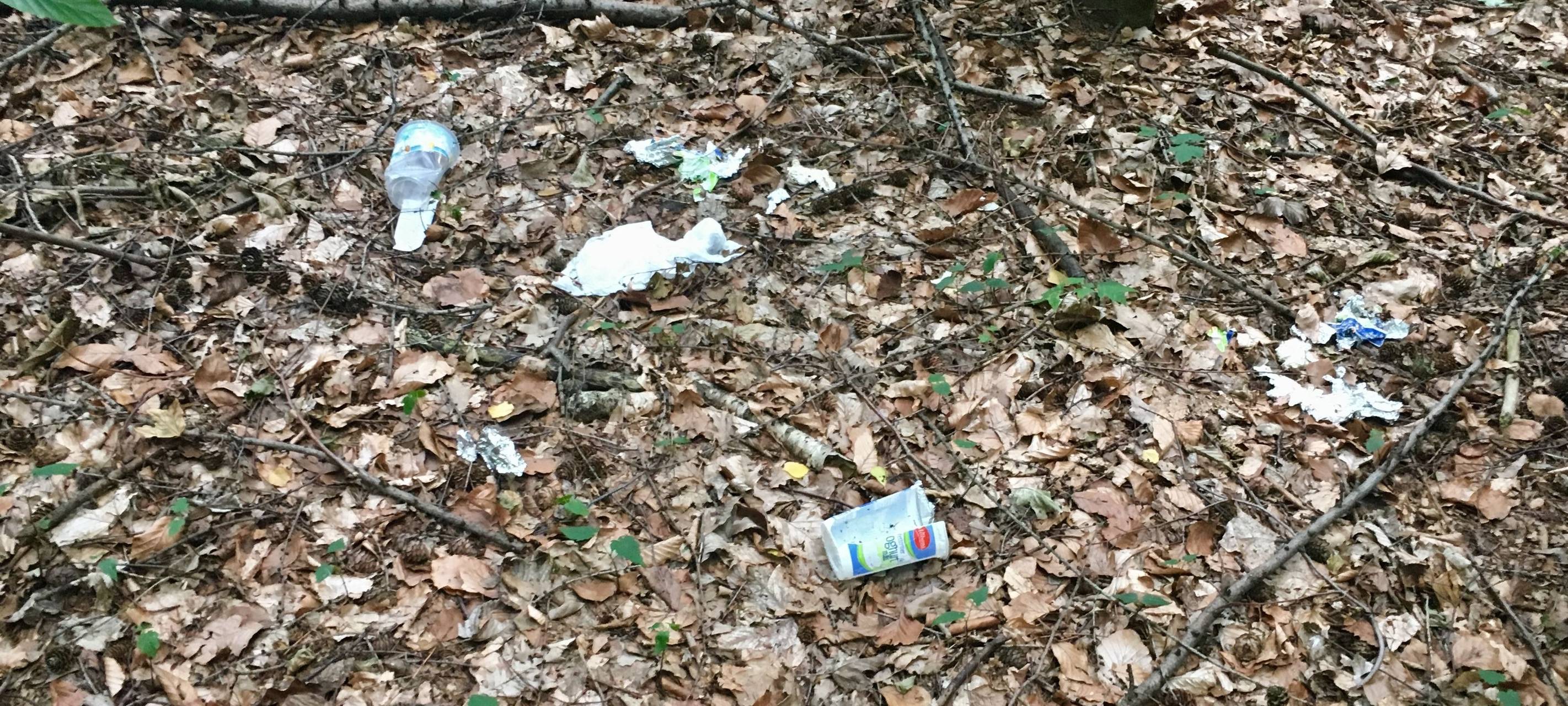 Müll im Köllnischen Wald