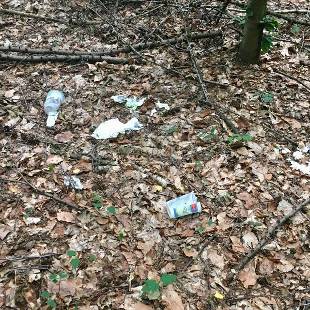 Müll im Köllnischen Wald