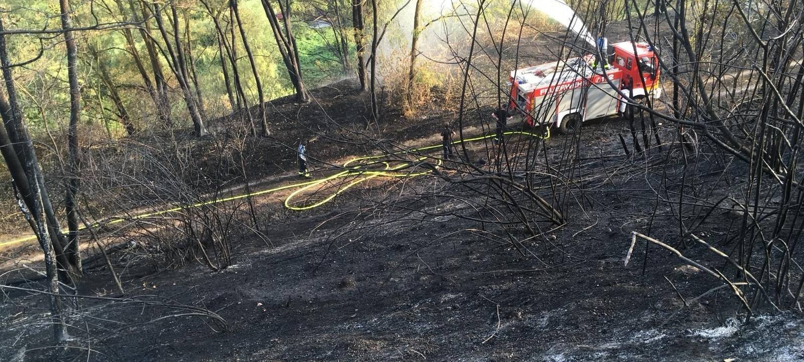 Feuerwehreinsatz auf der Moltkehalde