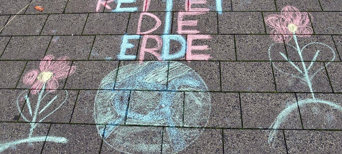 Fridays for Future-Demo