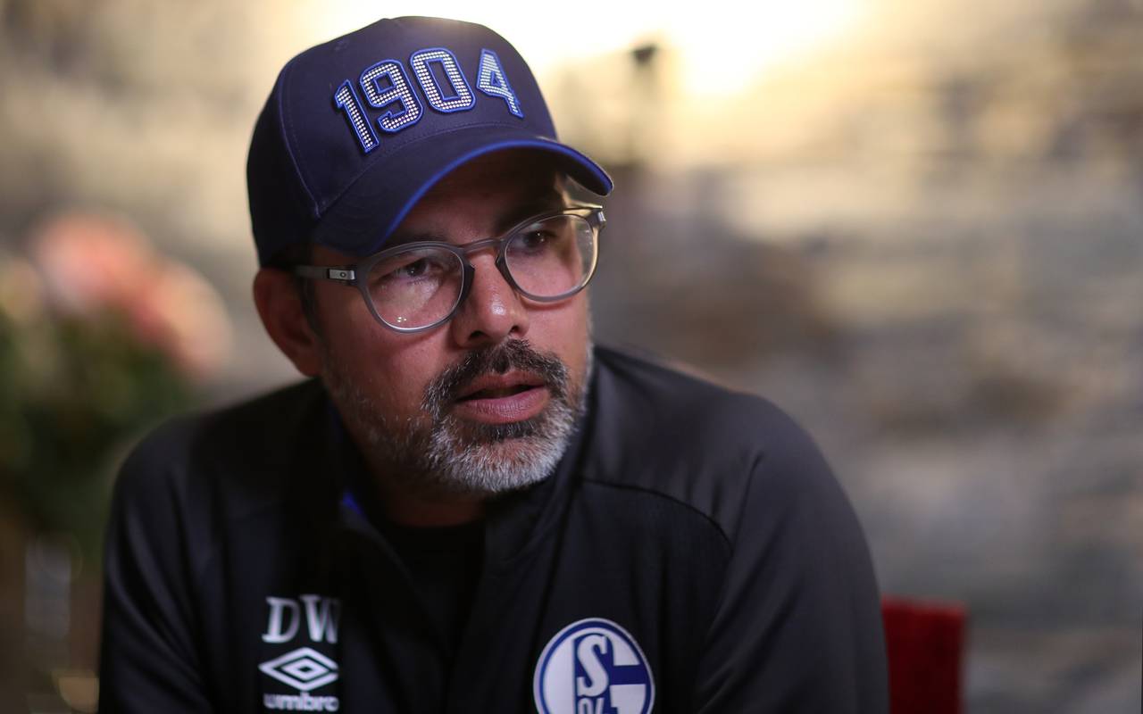 Schalke-Trainer David Wagner 