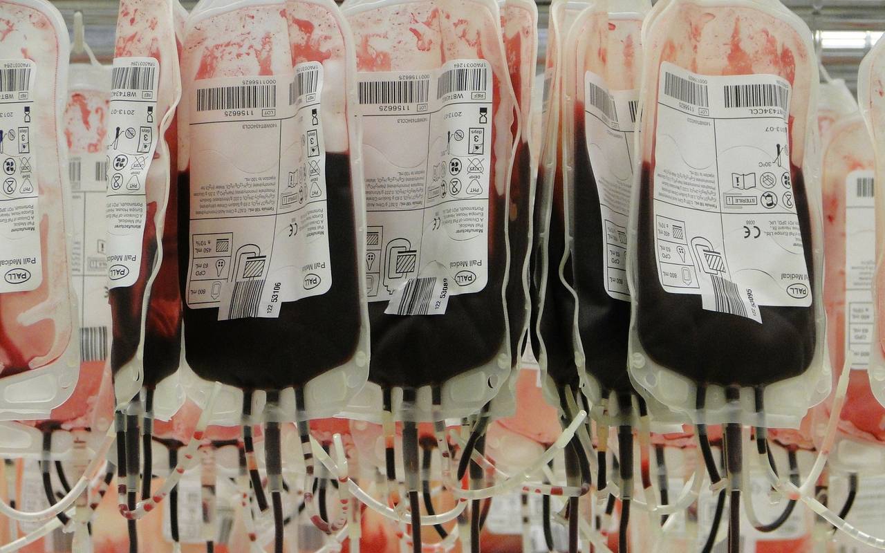 Blutspende Blutkonserven