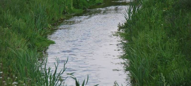 Emscher Fluss Bach Köttelbecke