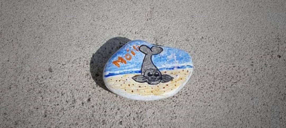 Ein bemalter Stein mit einem Seehund darauf