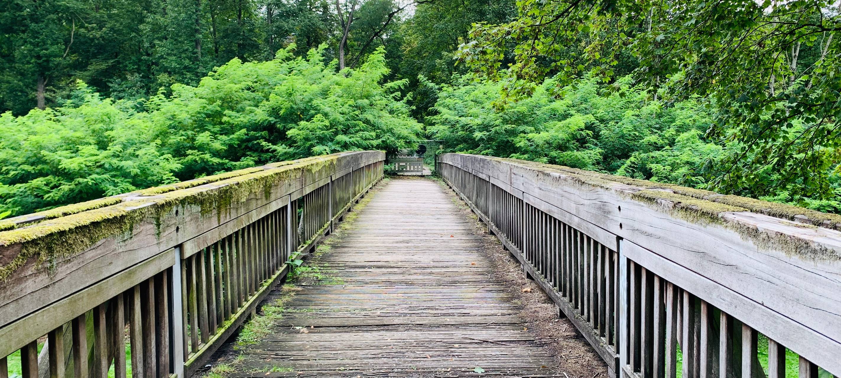 Wichtige Fußgängerbrücke auf der Halde 19 wird erstmal nicht ersetzt